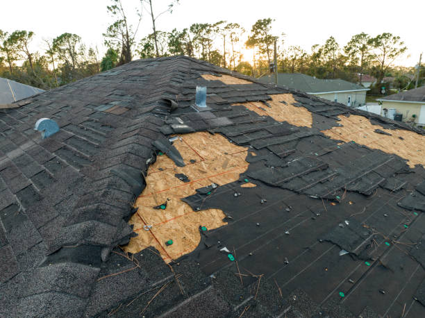 Roof Insulation in Louisville, NE