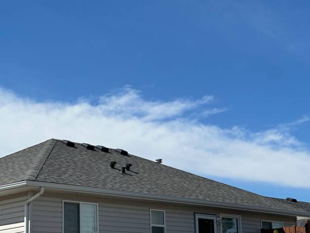 Steel Roofing in Louisville, NE